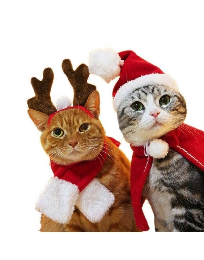 Merry Christmas Cloak for pets -