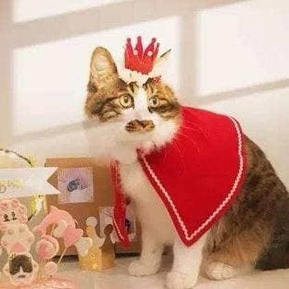 Merry Christmas Crown for pets -