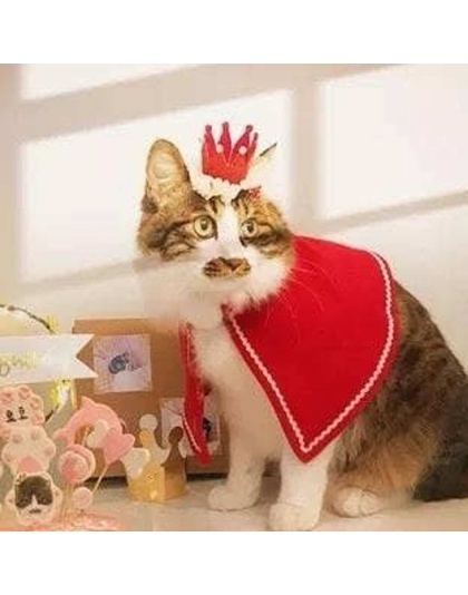 Merry Christmas Crown for pets -