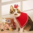 Merry Christmas Crown for pets -