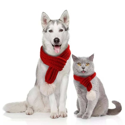 Merry Christmas Scarf for pet -