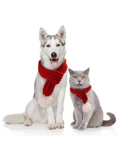 Merry Christmas Scarf for pet -