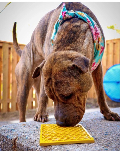 Yellow - Honeycomb Design Emat Enrichment Lick Mat - Small