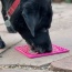 Blue - Jigsaw Design eMat Enrichment Lick Mat