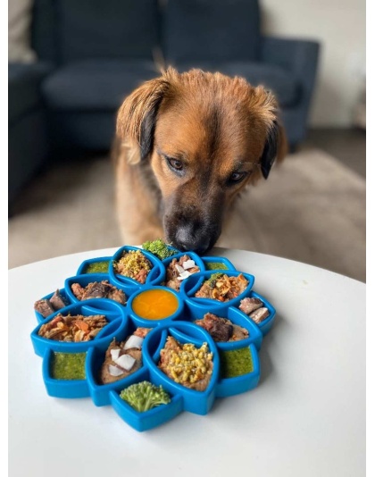 Blue  - Mandala Design eTray Enrichment Tray for Dogs