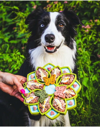 Green - Mandala Design eTray Enrichment Tray for Dogs