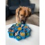 Green - Mandala Design eTray Enrichment Tray for Dogs