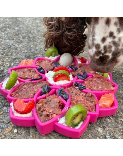 Pink  - Mandala Design eTray Enrichment Tray for Dogs