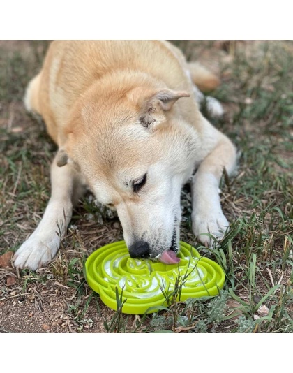 Green  - Water Frog Design eTray Enrichment Tray for Dogs