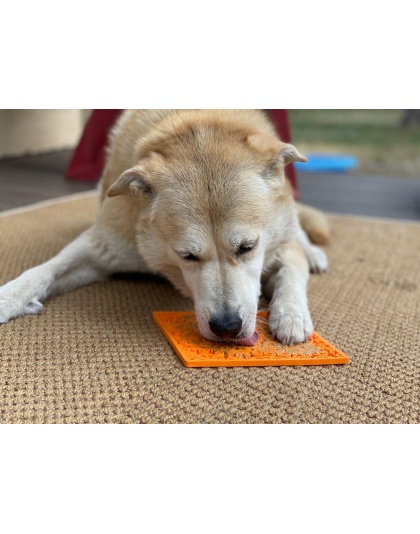 Black - Zombie Design Emat Enrichment Lick Mat