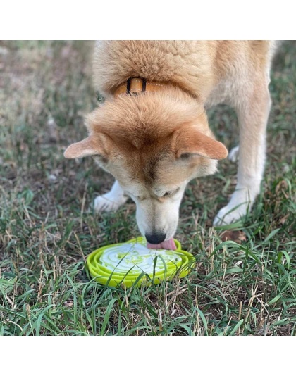 Green  - Water Frog Design eTray Enrichment Tray for Dogs