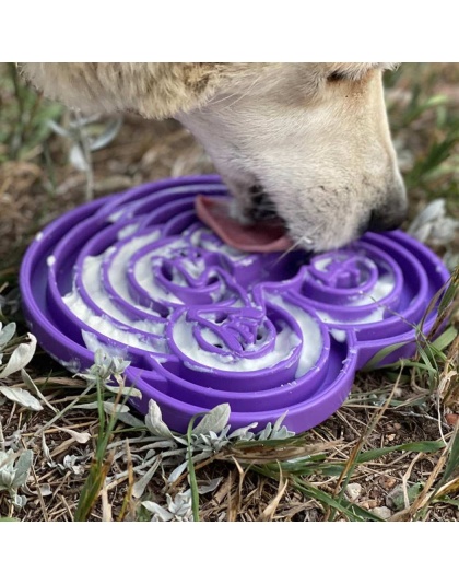 Purple  - Water Frog Design eTray Enrichment Tray for Dogs