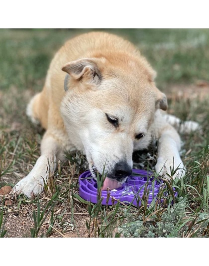 Purple  - Water Frog Design eTray Enrichment Tray for Dogs