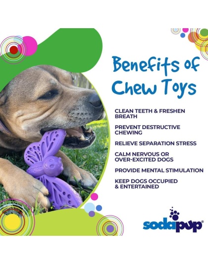 Purple - SP Butterfly Chew and Enrichment Toy