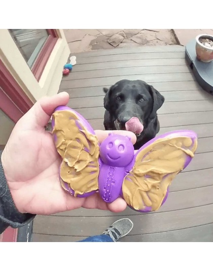 Purple - SP Butterfly Chew and Enrichment Toy