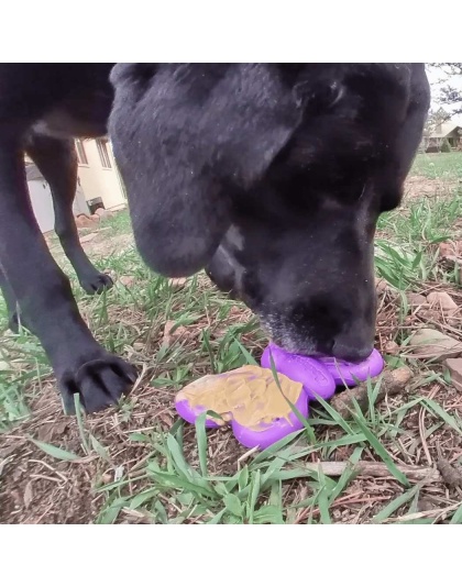 Purple - SP Butterfly Chew and Enrichment Toy