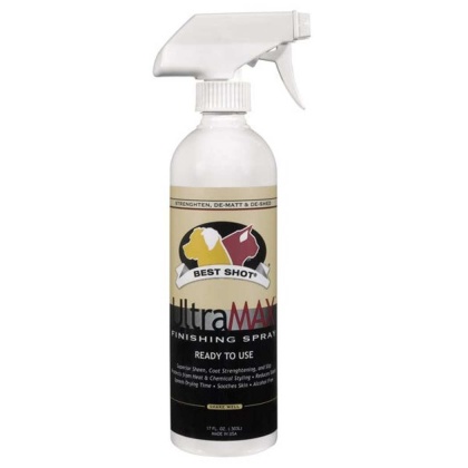 BT UltraMax Pro Finish Spray 17oz - 17 oz