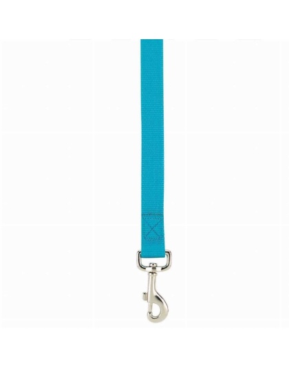 Blue - CC Lead 6FtX1In Blu - Medium