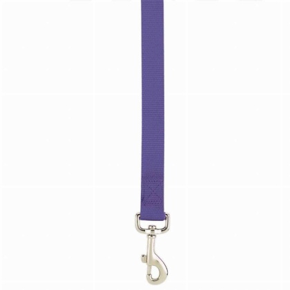 Purple - CC Lead 6FtX1In Pur - Medium