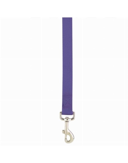 Purple - CC Lead 6FtX1In Pur - Medium