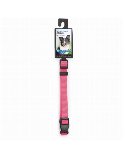 Neon Pink - DGR 1in Adjustable Collar Neon Pink