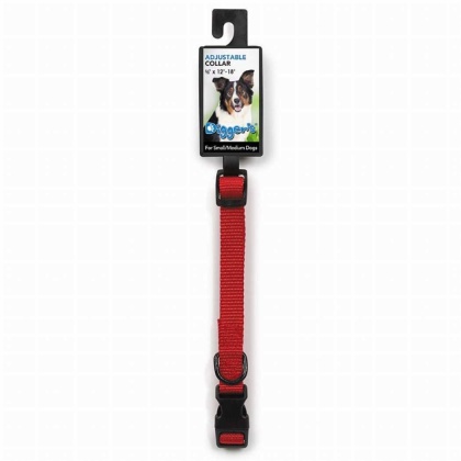 Red - DGR 1in Adjustable Collar Red