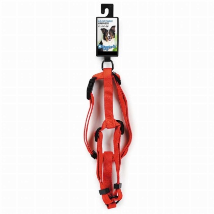 Neon Orange - DGR 5/8in Adjustable Harness Neon Org