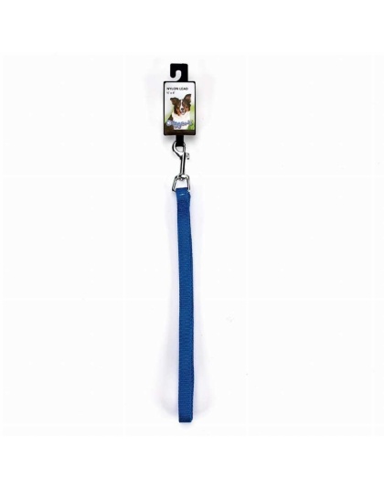 Blue - DGR 5/8in Nylon Lead 48in Blue - 48in