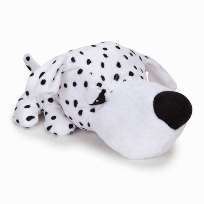 Dalmation - Digger's FatHedz Dalmation