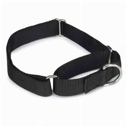 Black - GG Nylon Martingale Collar 10-16In Blk - 10-16in