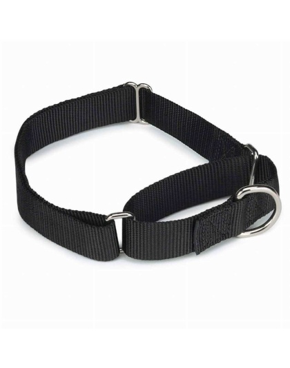 Black - GG Nylon Martingale Collar 10-16In Blk - 10-16in