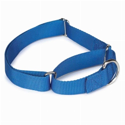 Blue - GG Nylon Martingale Collar 10-16In Blu - 10-16in