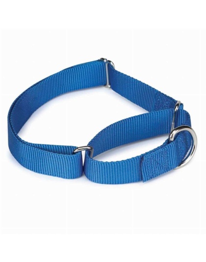 Blue - GG Nylon Martingale Collar 10-16In Blu - 10-16in