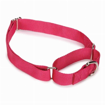 Pink - GG Nylon Martingale Collar 10-16In Pnk - 10-16in