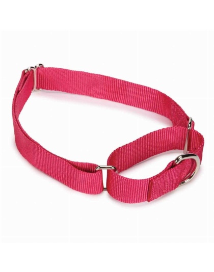 Pink - GG Nylon Martingale Collar 10-16In Pnk - 10-16in