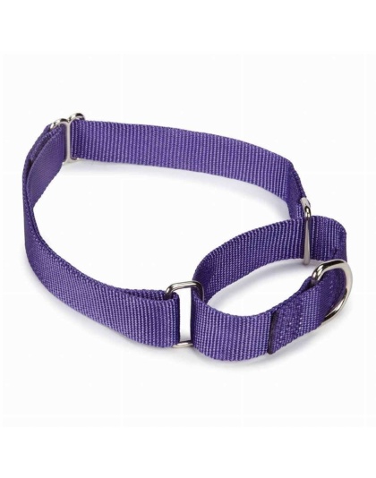 Purple - GG Nylon Martingale Collar 10-16In Pur - 10-16in