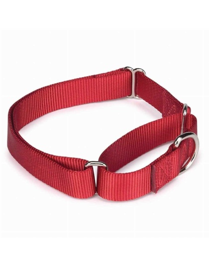 Red - GG Nylon Martingale Collar 10-16In Red - 10-16in