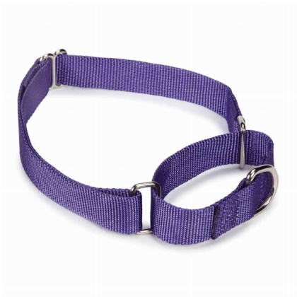 Purple - GG Nylon Martingale Collar 14-20In Pur - 14-20in