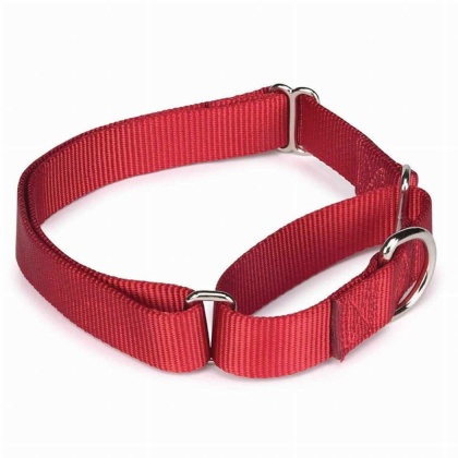 Red - GG Nylon Martingale Collar 14-20In Red - 14-20in