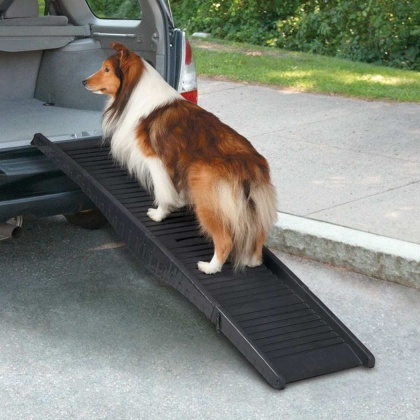 Black - CR Tri-Fold Vehicle Pet Ramp Blk