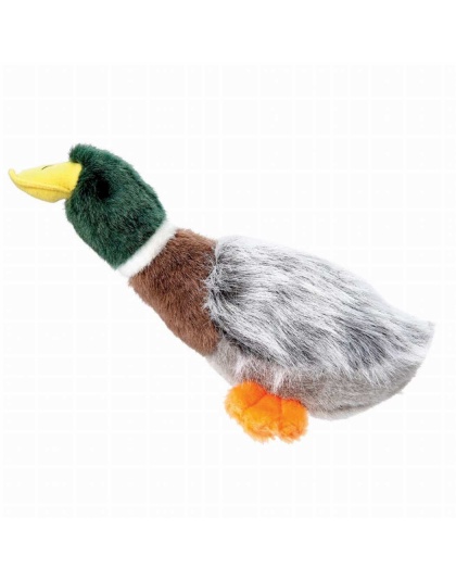 GR Squawk Flock Mallard