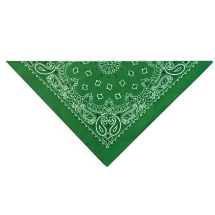 Dark Green - TP Paisley Bandana Dk Grn