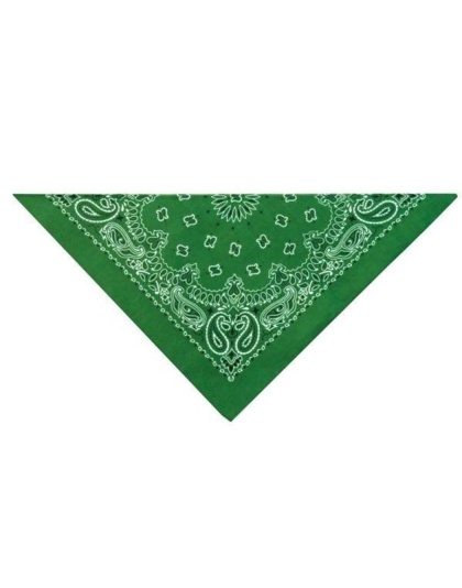 Dark Green - TP Paisley Bandana Dk Grn