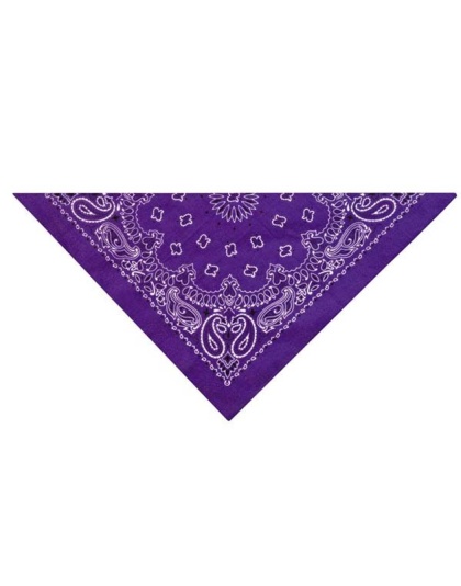 Dark Purple - TP Paisley Bandana DkPur