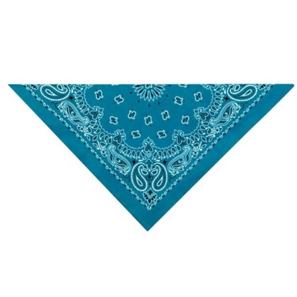 Light Blue - TP Paisley Bandana Lt Blu