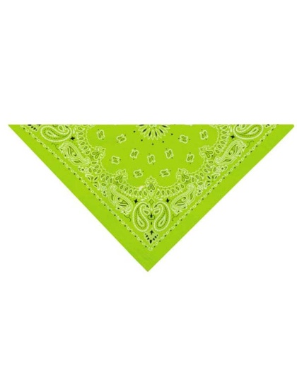 Light Green - TP Paisley Bandana Lt Grn