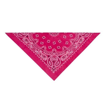 Pink - TP Paisley Bandana Pnk