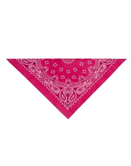 Pink - TP Paisley Bandana Pnk