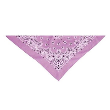 Purple - TP Paisley Bandana Pur