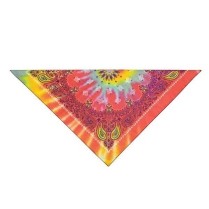 Tie Dye - TP Paisley Bandana Tie Dye